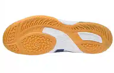 Mizuno Wave Drive 8 White Blue