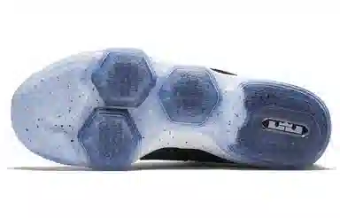 Nike Lebron 14 Black Ice