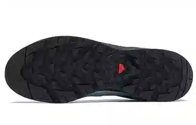 Salomon X-Desalpes GTX