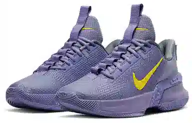 Nike Ambassador 13 LeBron Lakers