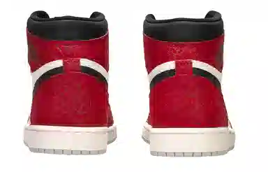Jordan Air Jordan 1 GS