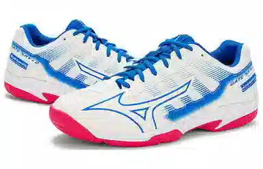 Mizuno Gate Sky Plus2