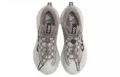 Nike ACG Mountain Fly Low 2 Grey