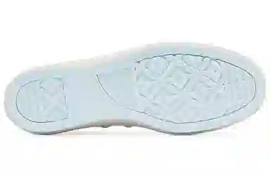 Converse Chuck Taylor All Star Low White Blue