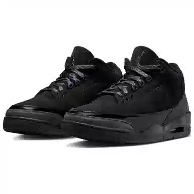 Air Jordan 3 Black Cat