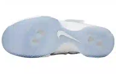 Nike zoom soldier 10 LeBron Gold Medal