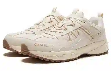 CAMEL 1.0
