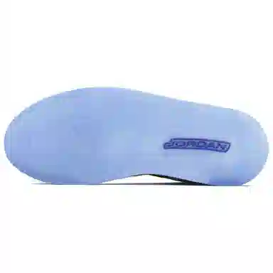 Jordan Courtside 23 Concord SDS