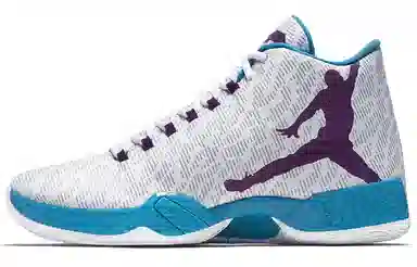 Jordan Air Jordan 29