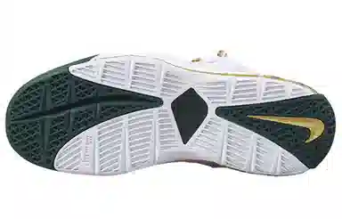 Nike Lebron 3 Zoom 3