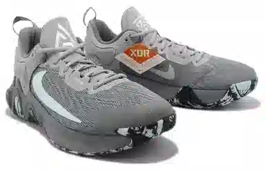 Nike Giannis Immortality 2 EP Grey