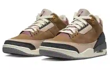 Jordan Air Jordan 3 Retro SE "Archaeo Brown"