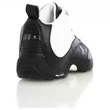 Reebok Answer IV Stepover