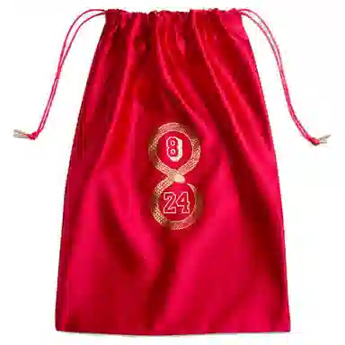 Nike Kobe 5 Protro "Year of the Mamba"