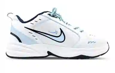 Nike Air Monarch 4