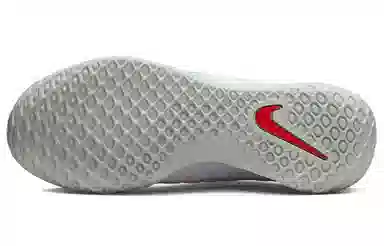 Nike Court Zoom NXT White Blue