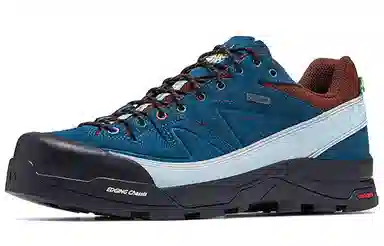 Salomon X-Desalpes GTX