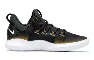 Nike Hyperdunk X Low Black Gold