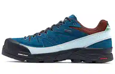 Salomon X-Desalpes GTX