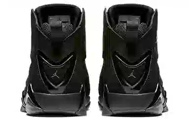 Jordan Air Jordan 7 True Flight 7