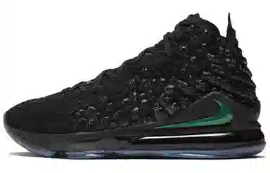 Nike Lebron 17 Black