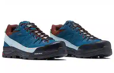 Salomon X-Desalpes GTX