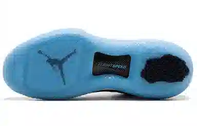 Jordan Air Jordan 32 Low PF