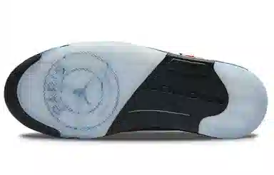 Jordan Air Jordan 5 Retro Low PSG