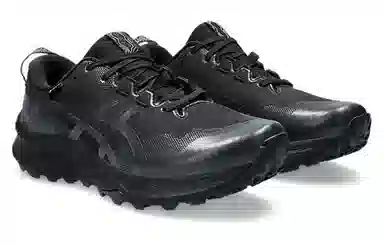 Asics GEL-Trabuco 12 GTX Black