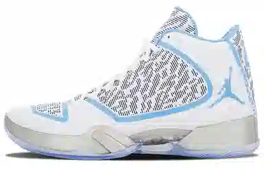 Jordan Jordan 29 Pantone