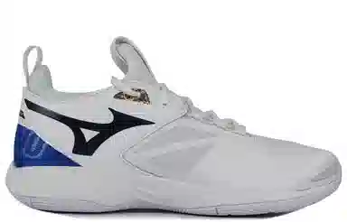 Mizuno Wave Momentum 2