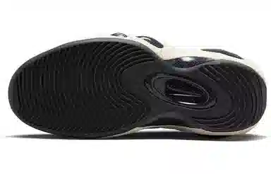 Nike Zoom Flight 95 White Black Red