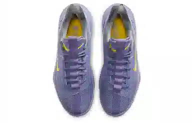 Nike Ambassador 13 LeBron Lakers