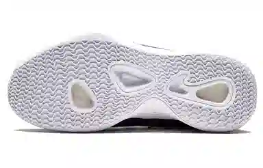 Nike Hyperdunk X Low White Purple