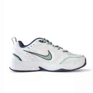 Nike Air Monarch 4