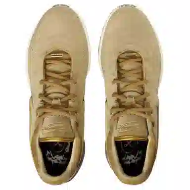 Nike LeBron 21 "Nobility"