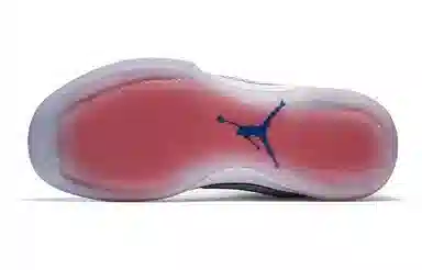 Jordan Air Jordan 31 USA