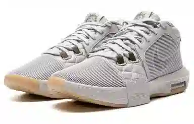 Nike Lebron Witness VIII EP