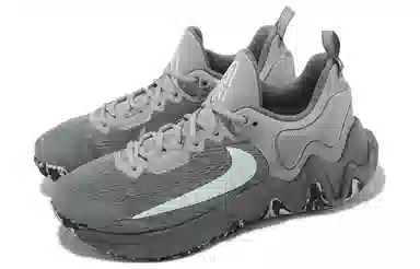 Nike Giannis Immortality 2 EP Grey