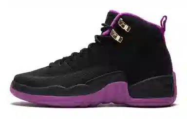 Jordan Air Jordan 12 Black Purple 2016
