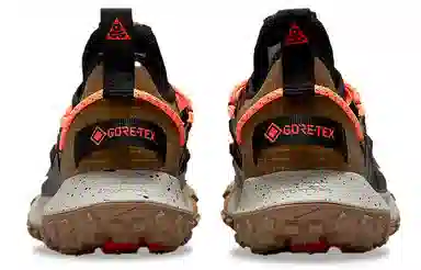 Nike ACG Mountain Fly Low GTX SE Brown