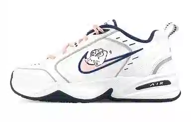 Nike Air Monarch 4 White Navy