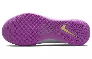 Nike Zoom Court NXT HC