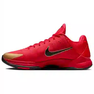 Nike Kobe 5 Protro "Year of the Mamba"