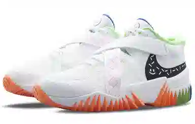 Nike Zoom Court Dragon Low