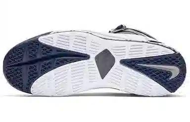 Nike Lebron 3 Zoom QS Navy