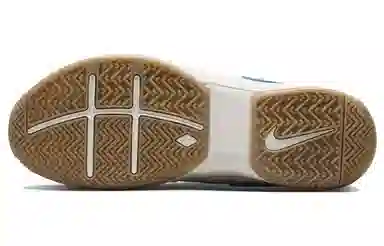 Nike Court Zoom Vapor 9.5