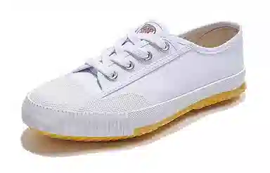 Feiyue Classic Canvas