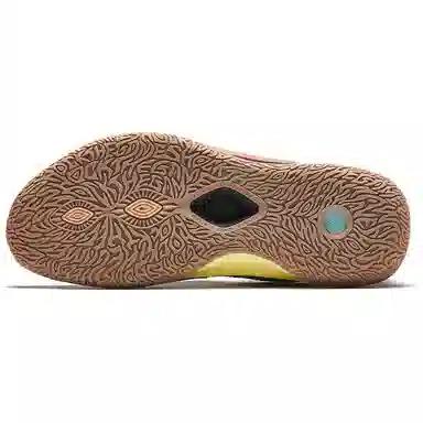 Anta Crazy Tide 6 Pro