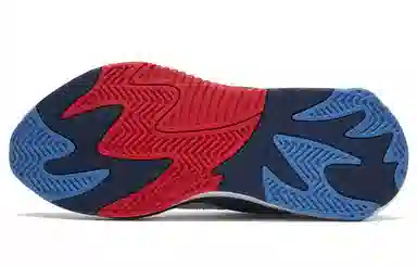 PUMA RS-2K Bmw Motorsport